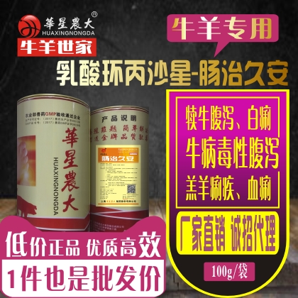肠治久安