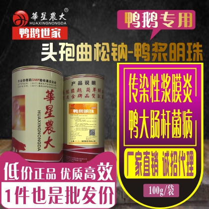 鸭浆明珠