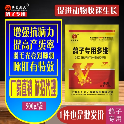 鸽子专用多维